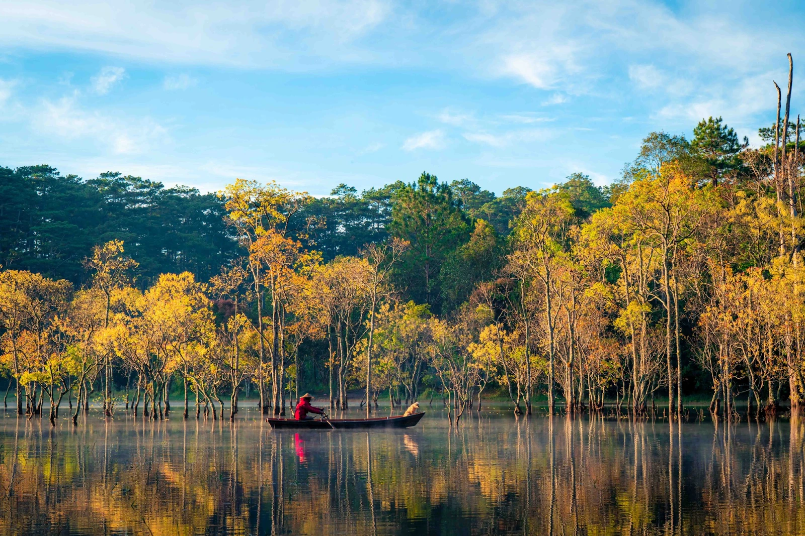 A small boat drifting among golden-season trees at Tuyen Lam Lake