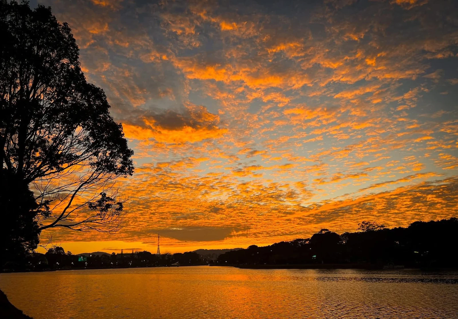 Da Lat sunset painting Xuan Huong Lake golden