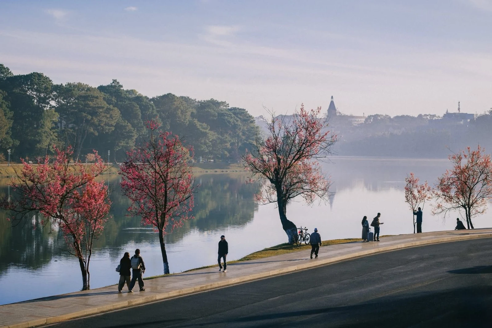 A glimpse of spring at Xuan Huong Lake, Da Lat