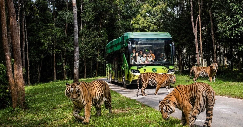 Du khách trải nghiệm hoạt động “nhốt người thả thú” tại Safari Phú Quốc