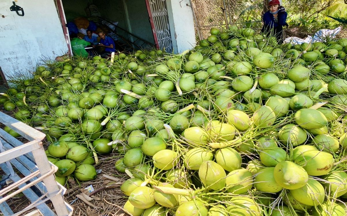 Nước dừa xiêm giải khát ở Thái Lan