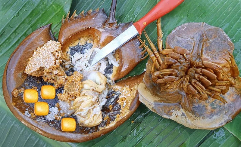 Sam biển Quảng Yên tươi được tách đôi, bày trên lá chuối cùng trứng và gia vị