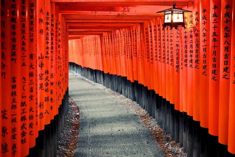 Hành lang Torii đỏ thẫm tạo nên từ hàng ngàn lời cầu nguyện thịnh vượng