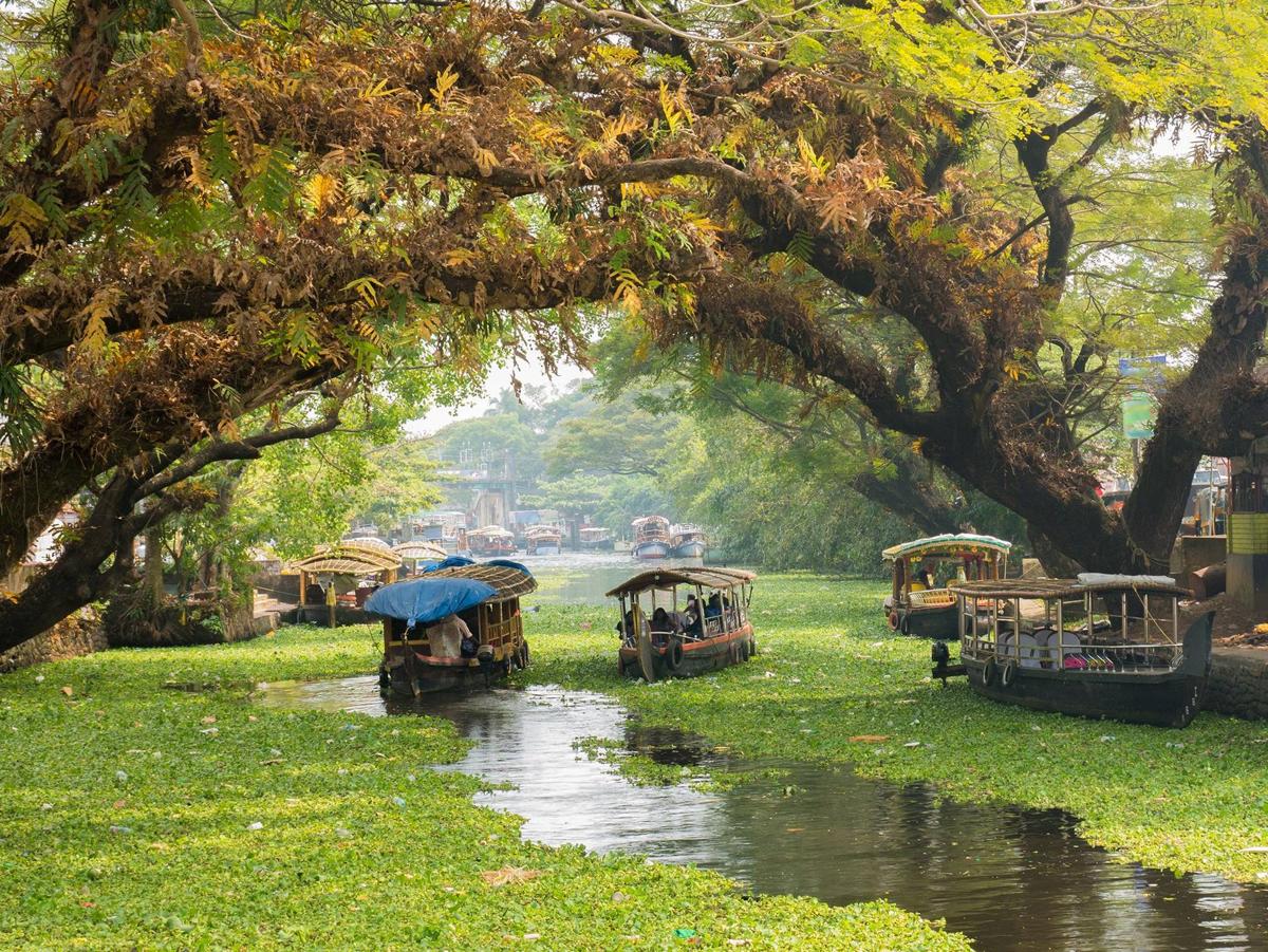 Kerala được mệnh danh là "Vùng đất của Chúa" (God's Own Country)