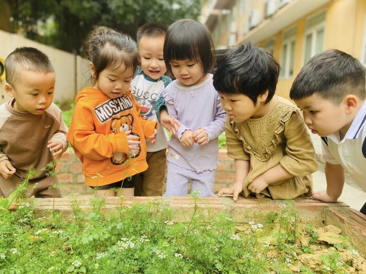 Children learn how to grow plants from tiny sprouts.