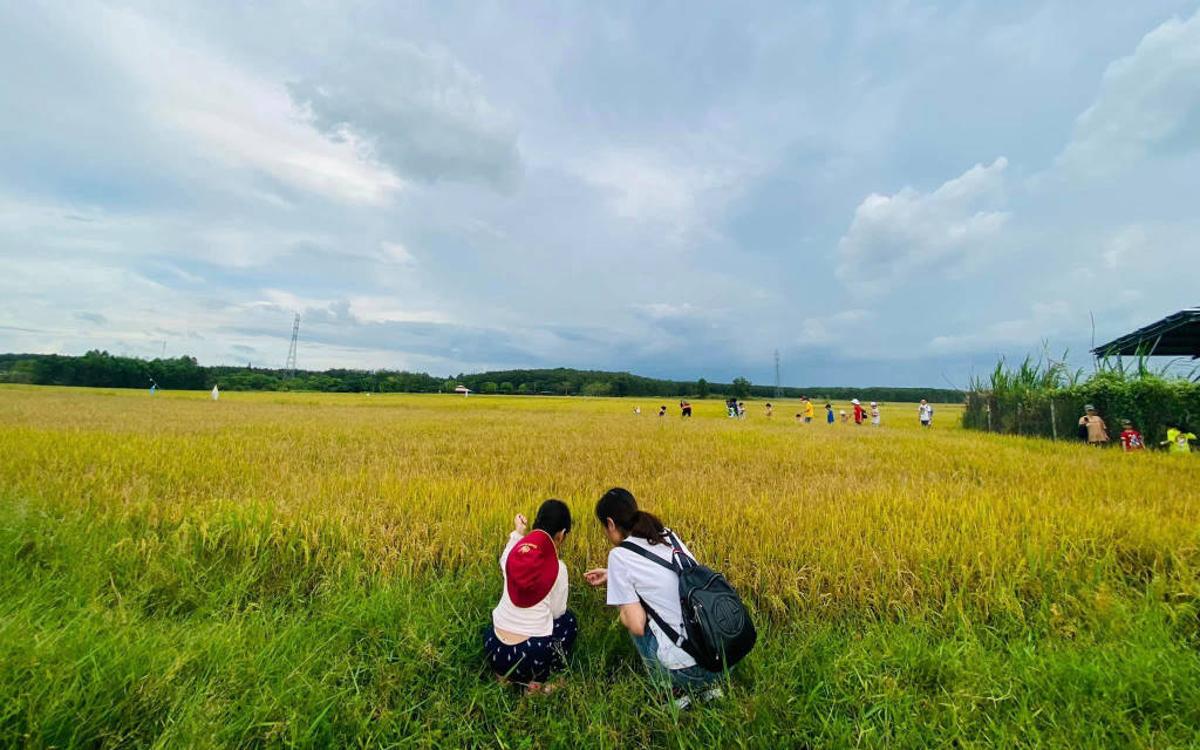 Children get to experience first-hand the daily activities of the farm.