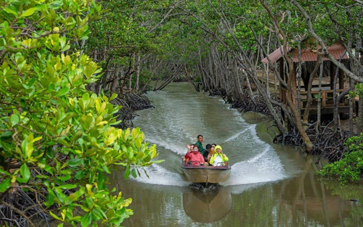 The mangrove forest tour helps students learn more about natural ecosystems.