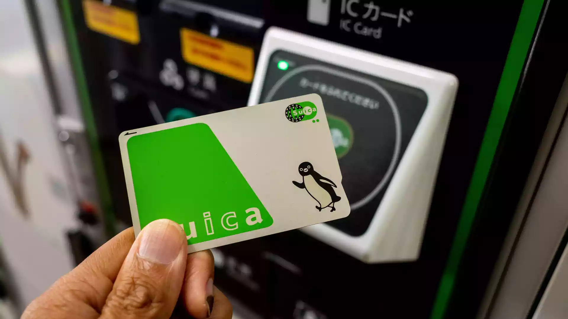 Suica Card - Thẻ thanh toán đa năng cho tàu điện và mua sắm ở Nhật Bản