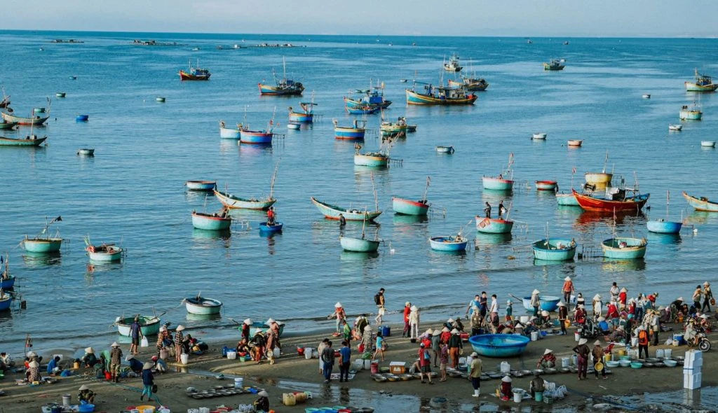 Hình ảnh tấp nập những chiếc thuyền thúng chở cá vào bờ