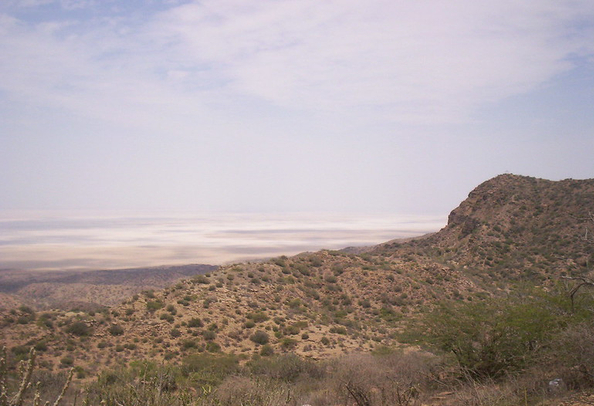 Rann of Kutch from Black Hill