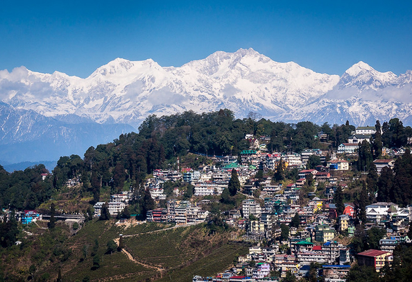 darjeeling