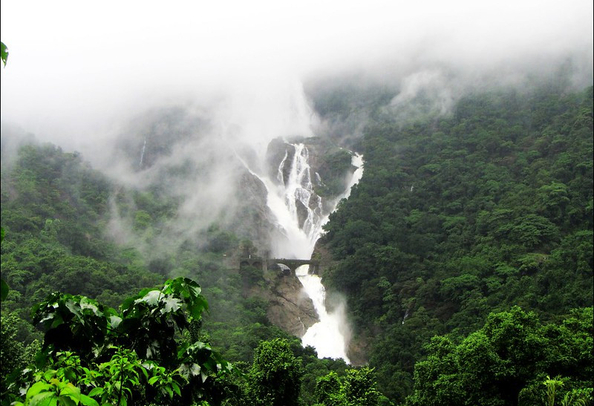 Dudhsagar Waterfalls, Goa