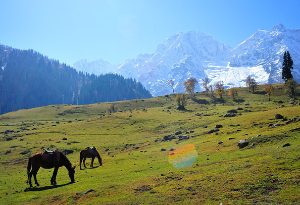 sonmarg