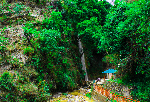 Tiger fall, Chakrata