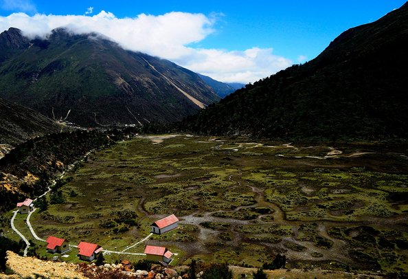 Chopta valley