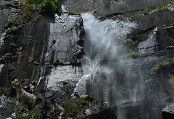 Jogni Falls, Manali