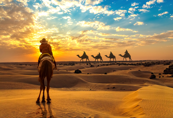 Camel safari  Jaisalmer