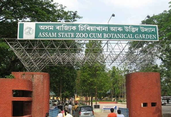 Assam Zoo