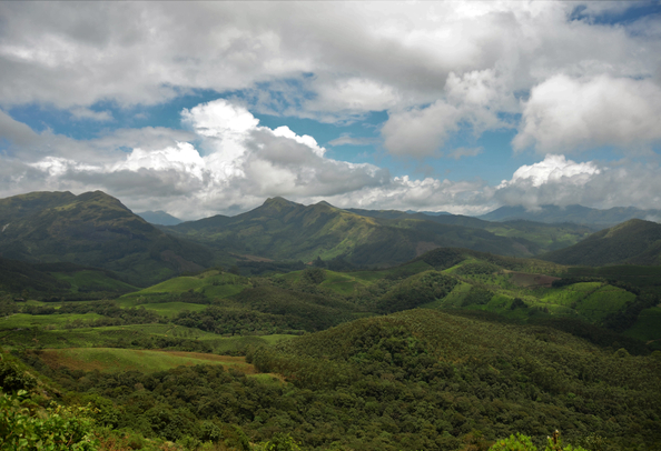 Munnar - Tea plantations