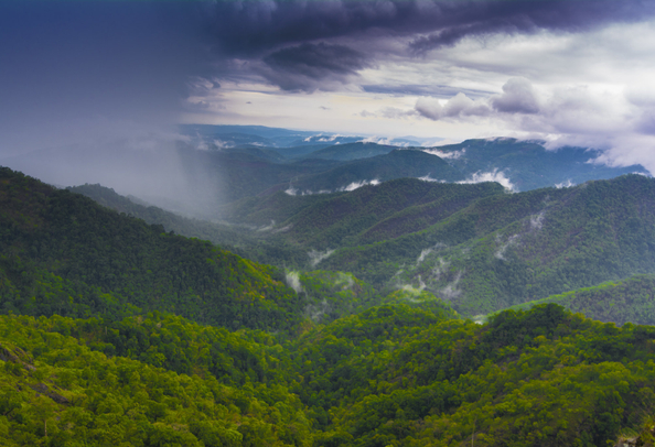 Thekkady