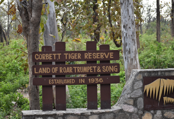 Tiger Reserve, Jim Corbett