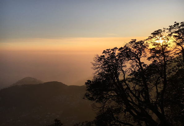 Triund Trek