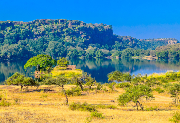 Jim Corbett National Park