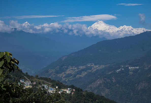 Tashi Viewpoint