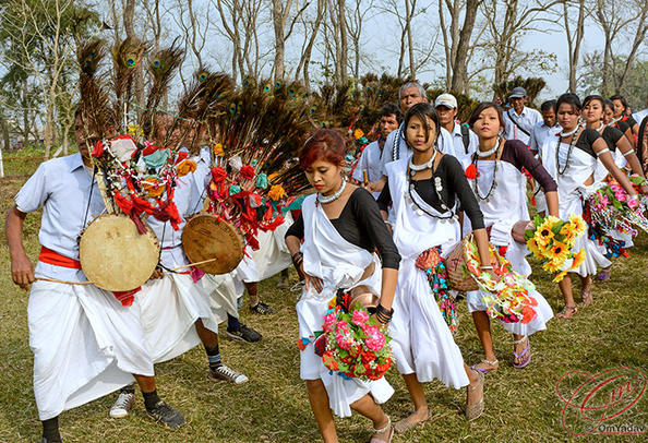 Tharu village dance