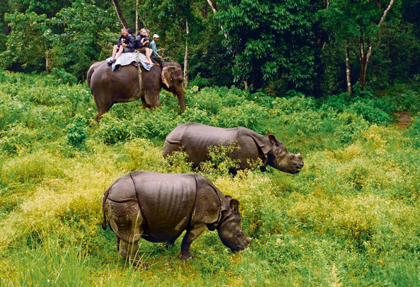 Chitwan National Park