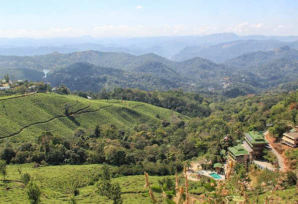 Pothamedu View Point, Munnar