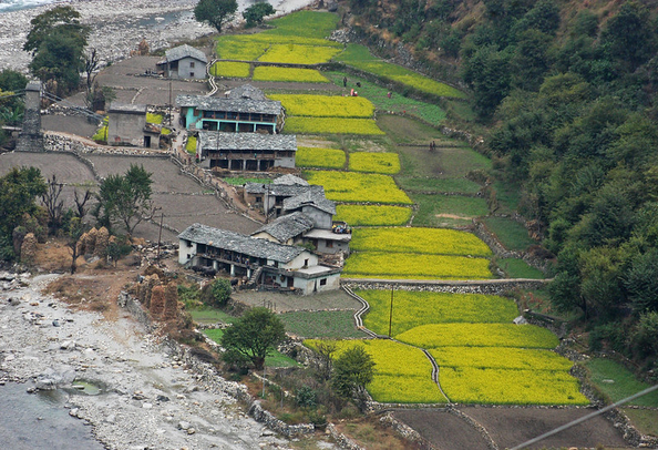 Sankri Village