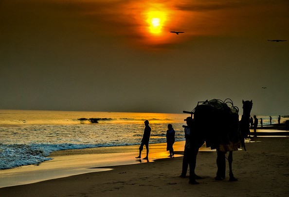 chandrabhaga Beach