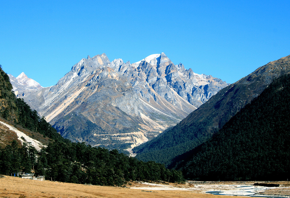 Yumthang Valley