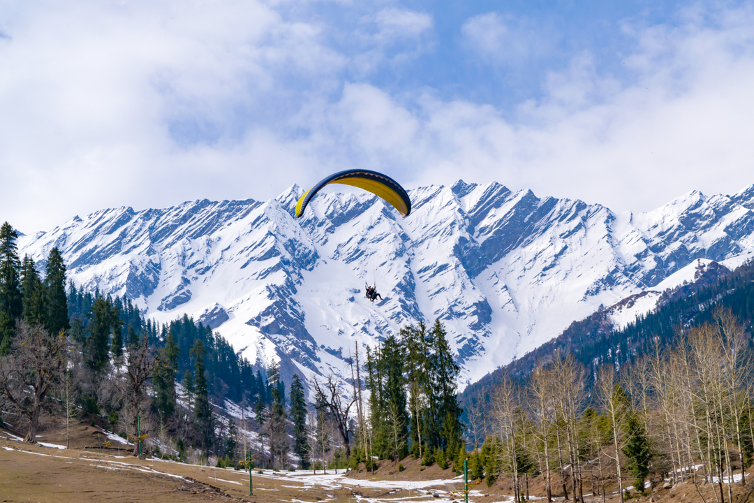 Paragliding in Manali