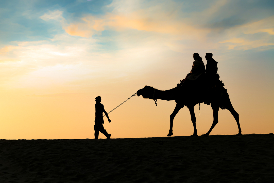 Camel Safari in Jaisalmer