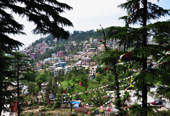 Himachal Circuit Tour