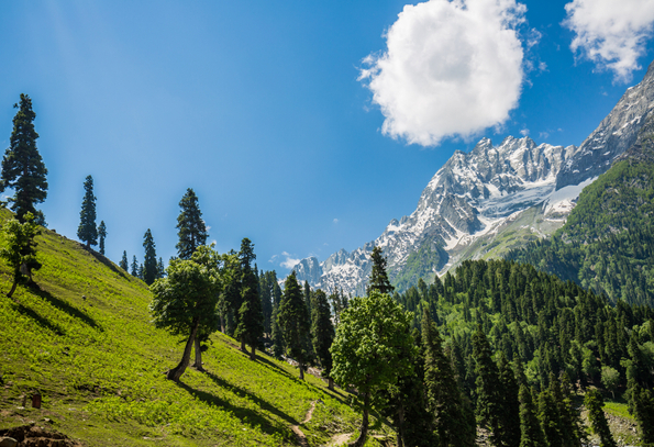 Amazing Kashmir Tour Package