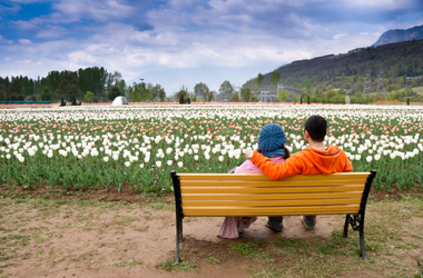 Romantic Kashmir Tour Package