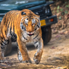 Jim Corbett