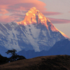 How To Reach Nanda Devi National Park