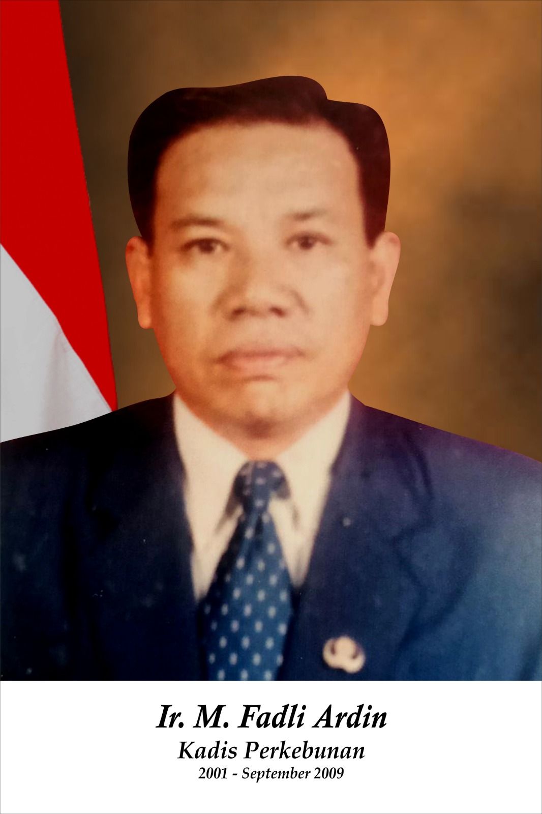 Kadis 1