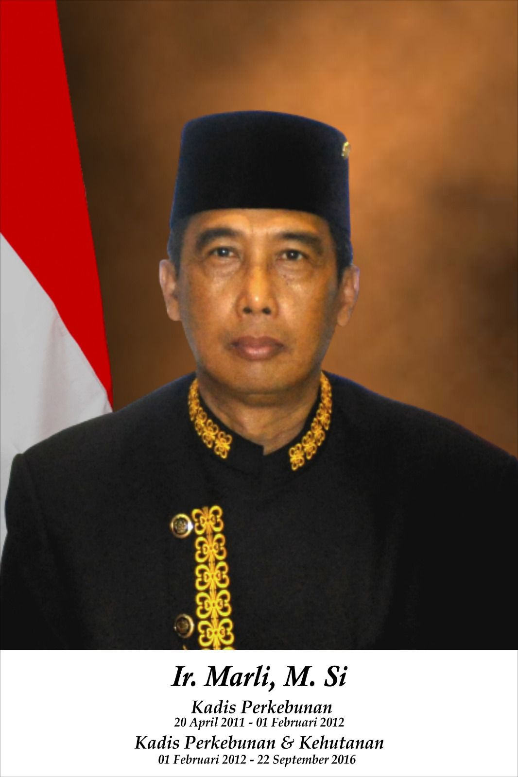 Kadis 3