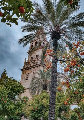 Córdoba, Spain 