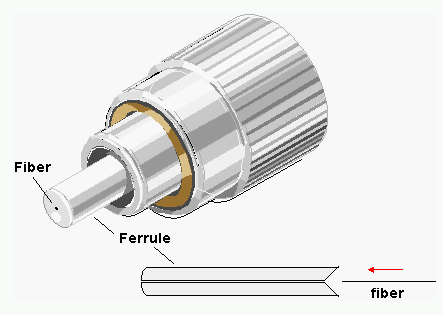 Fiber optic ferrule