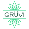 Gruvi