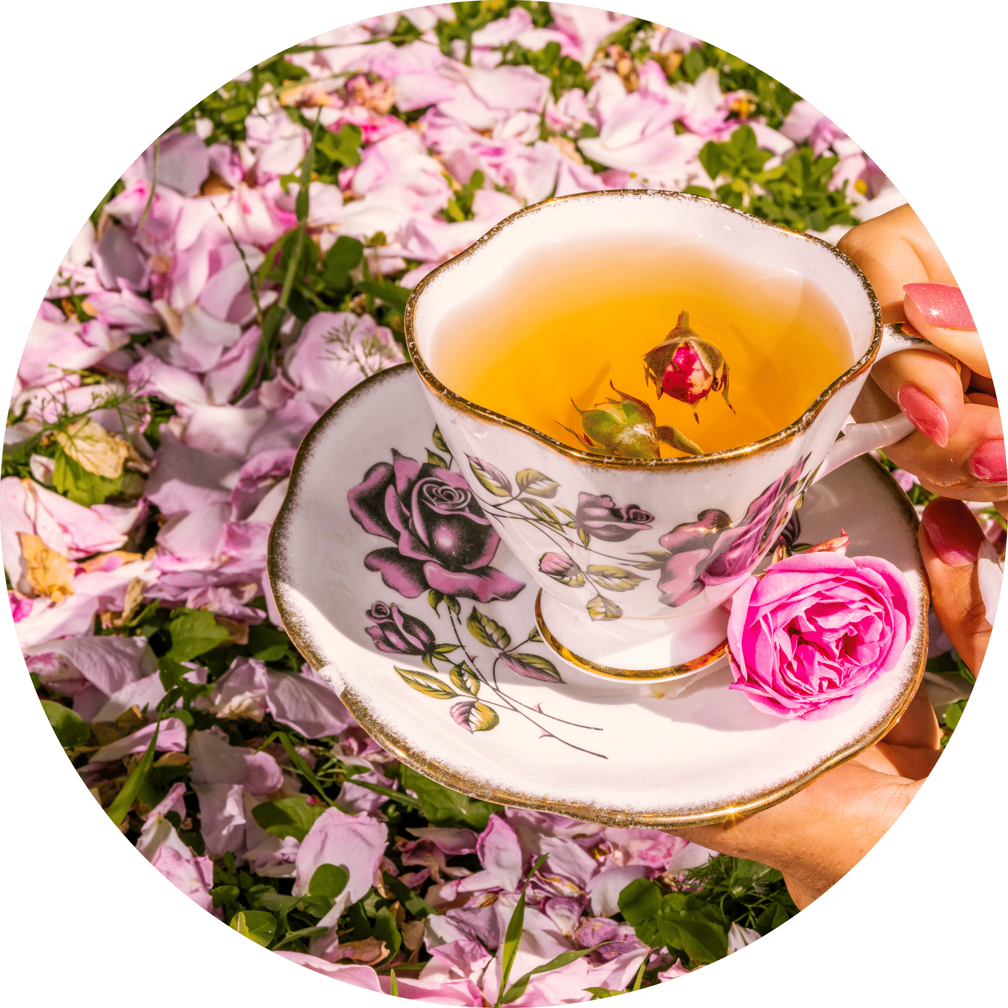 Flowerhead Tea