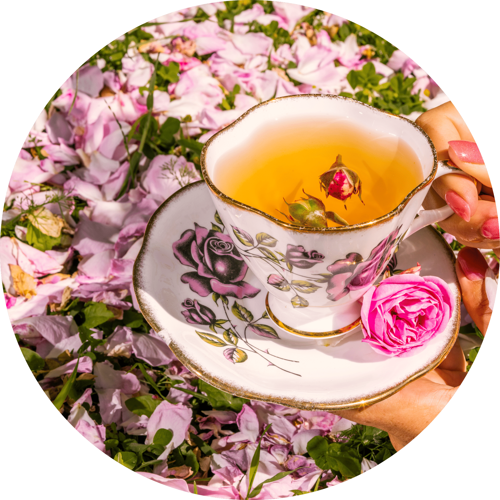 The Rooibos Chai Kit – Flowerhead Tea