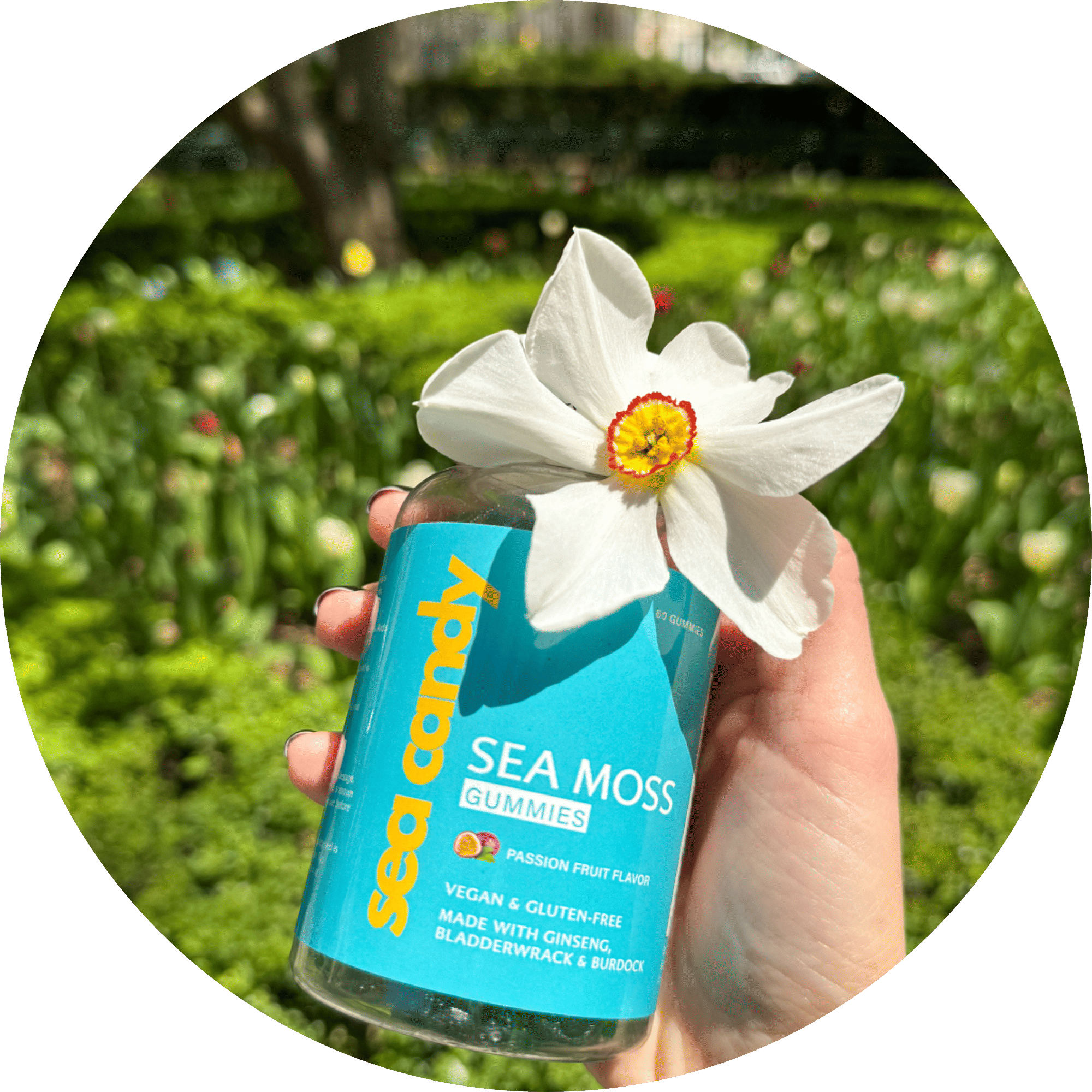 Sea Candy Co.