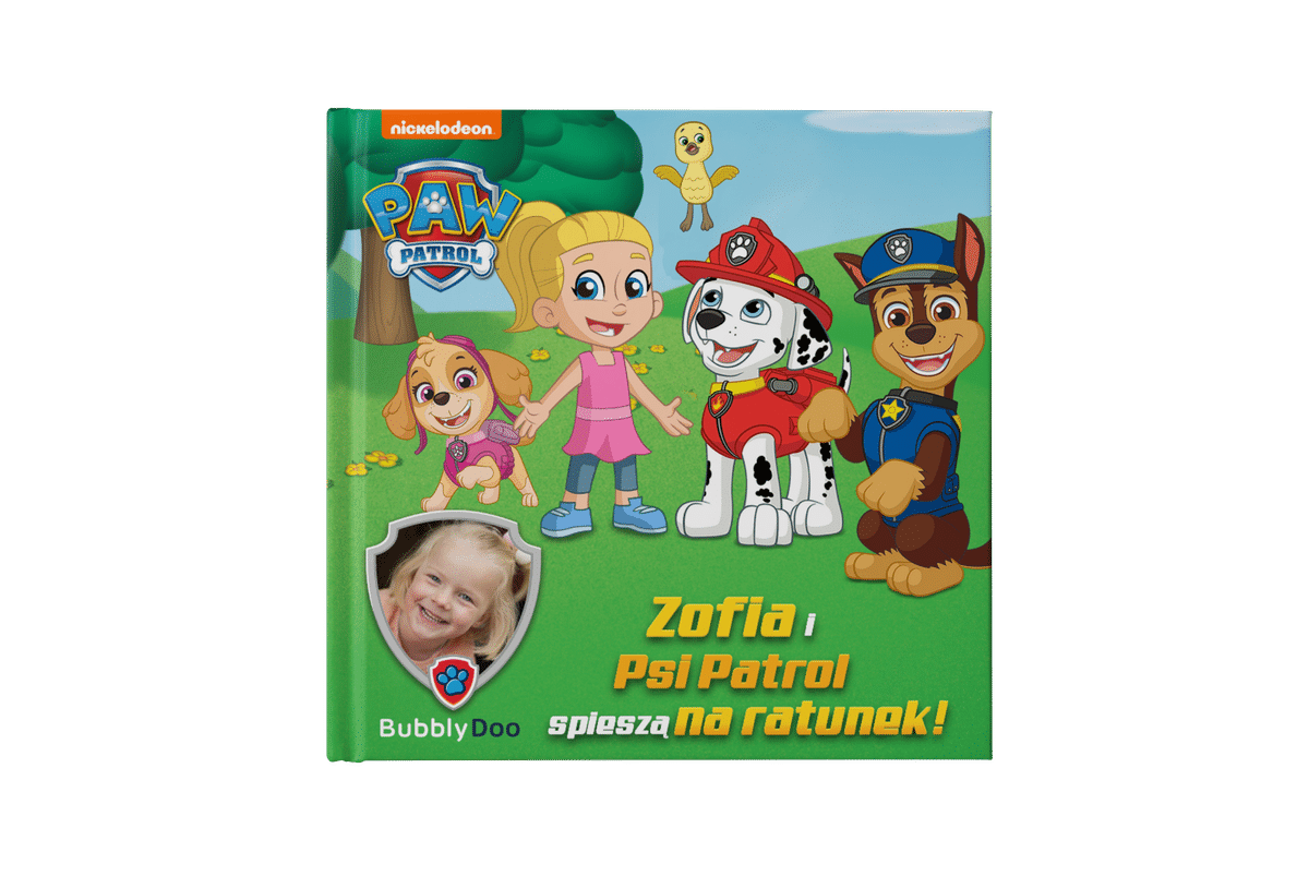 paw-patrol-rescue-image